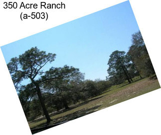 350 Acre Ranch (a-503)