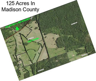 125 Acres In Madison County