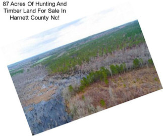 87 Acres Of Hunting And Timber Land For Sale In Harnett County Nc!