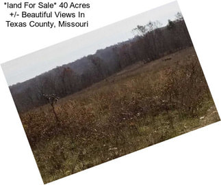 *land For Sale* 40 Acres +/- Beautiful Views In Texas County, Missouri