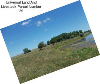 Universal Land And Livestock Parcel Number 39