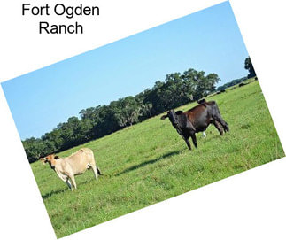 Fort Ogden Ranch