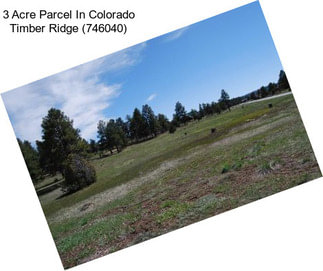 3 Acre Parcel In Colorado Timber Ridge (746040)