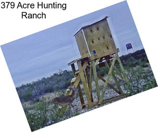 379 Acre Hunting Ranch