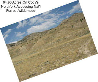 64.96 Acres On Cody\'s Northfork Accessing Nat\'l Forrest/wilderness