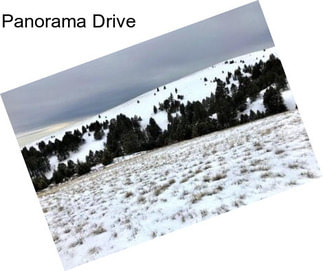 Panorama Drive