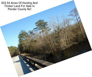 833.54 Acres Of Hunting And Timber Land For Sale In Pender County Nc!