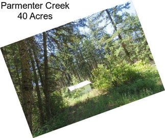 Parmenter Creek 40 Acres