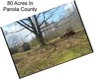 80 Acres In Panola County