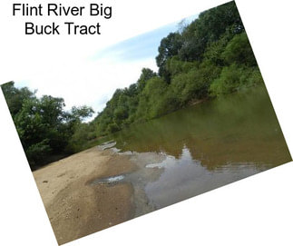 Flint River Big Buck Tract