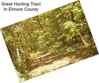 Great Hunting Tract In Elmore County