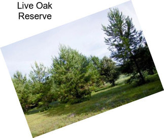 Live Oak Reserve