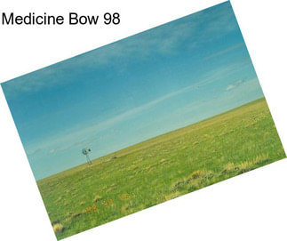 Medicine Bow 98