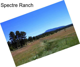 Spectre Ranch