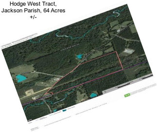 Hodge West Tract, Jackson Parish, 64 Acres +/-