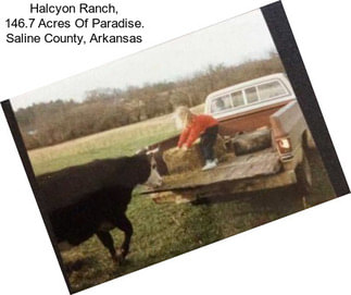 Halcyon Ranch, 146.7 Acres Of Paradise. Saline County, Arkansas