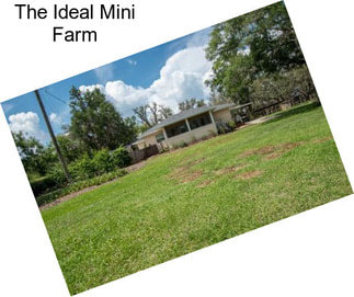 The Ideal Mini Farm