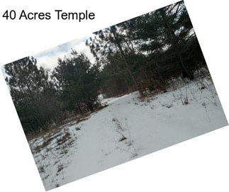 40 Acres Temple
