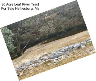 80 Acre Leaf River Tract For Sale Hattiesburg, Ms