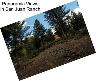 Panoramic Views In San Juan Ranch
