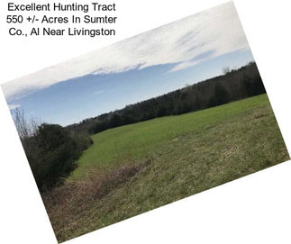 Excellent Hunting Tract 550 +/- Acres In Sumter Co., Al Near Livingston