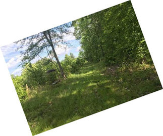 70+- Acres In Cleveland County With Several Potential Building Locations.
(outstanding Hunting With Deer, Hogs, Turkey, Etc...)