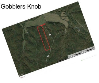 Gobblers Knob