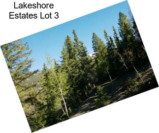 Lakeshore Estates Lot 3