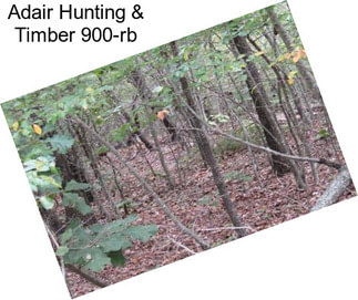 Adair Hunting & Timber 900-rb