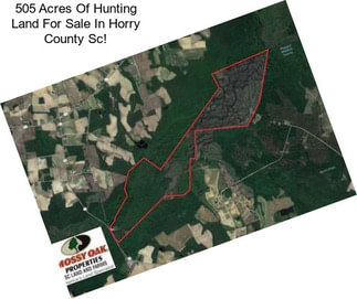 505 Acres Of Hunting Land For Sale In Horry County Sc!