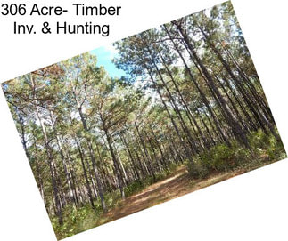 306 Acre- Timber Inv. & Hunting