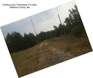 Hunting Land, Timberland, For Sale, Madison County, Ms