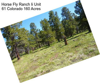 Horse Fly Ranch Ii Unit 61 Colorado 160 Acres