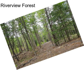 Riverview Forest