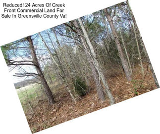 Reduced! 24 Acres Of Creek Front Commercial Land For Sale In Greensville County Va!