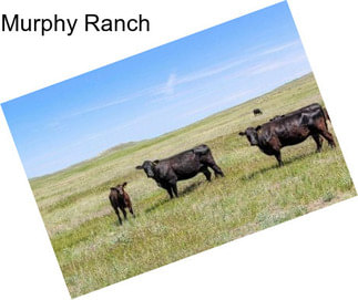 Murphy Ranch