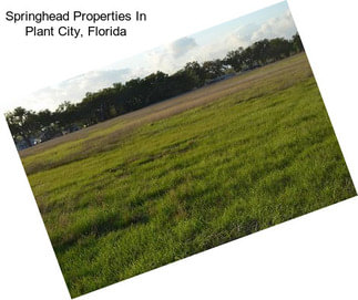 Springhead Properties In Plant City, Florida