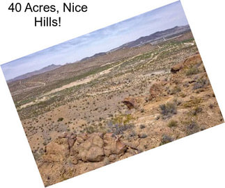 40 Acres, Nice Hills!