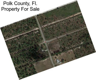 Polk County, Fl. Property For Sale