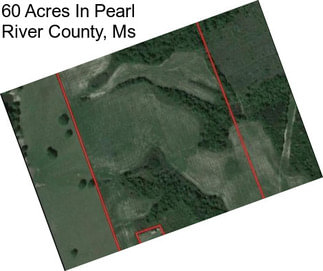 60 Acres In Pearl River County, Ms