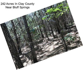 242 Acres In Clay County Near Bluff Springs