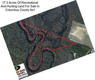 17.3 Acres Of Recreational And Hunting Land For Sale In Columbus County Nc!