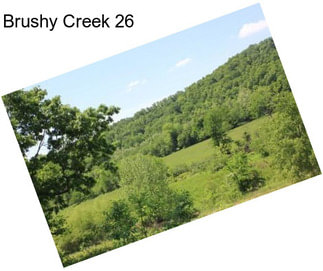 Brushy Creek 26