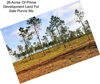 26 Acres Of Prime Development Land For Sale Purvis Ms