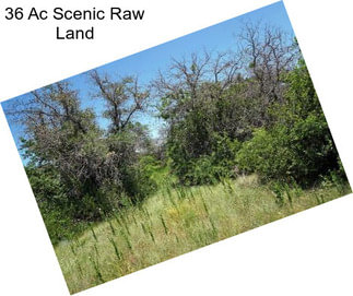 36 Ac Scenic Raw Land