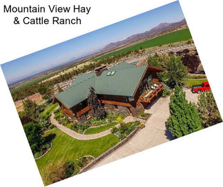 Mountain View Hay & Cattle Ranch