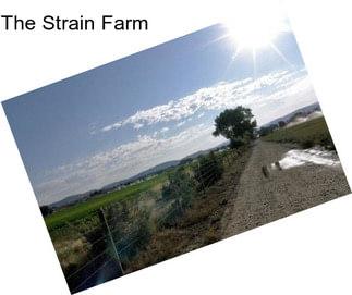 The Strain Farm