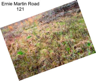 Ernie Martin Road 121