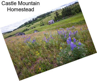 Castle Mountain Homestead