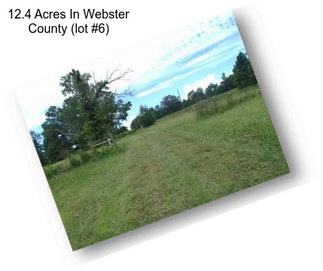 12.4 Acres In Webster County (lot #6)